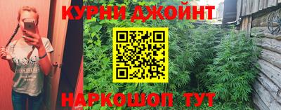 mdma Гатчина